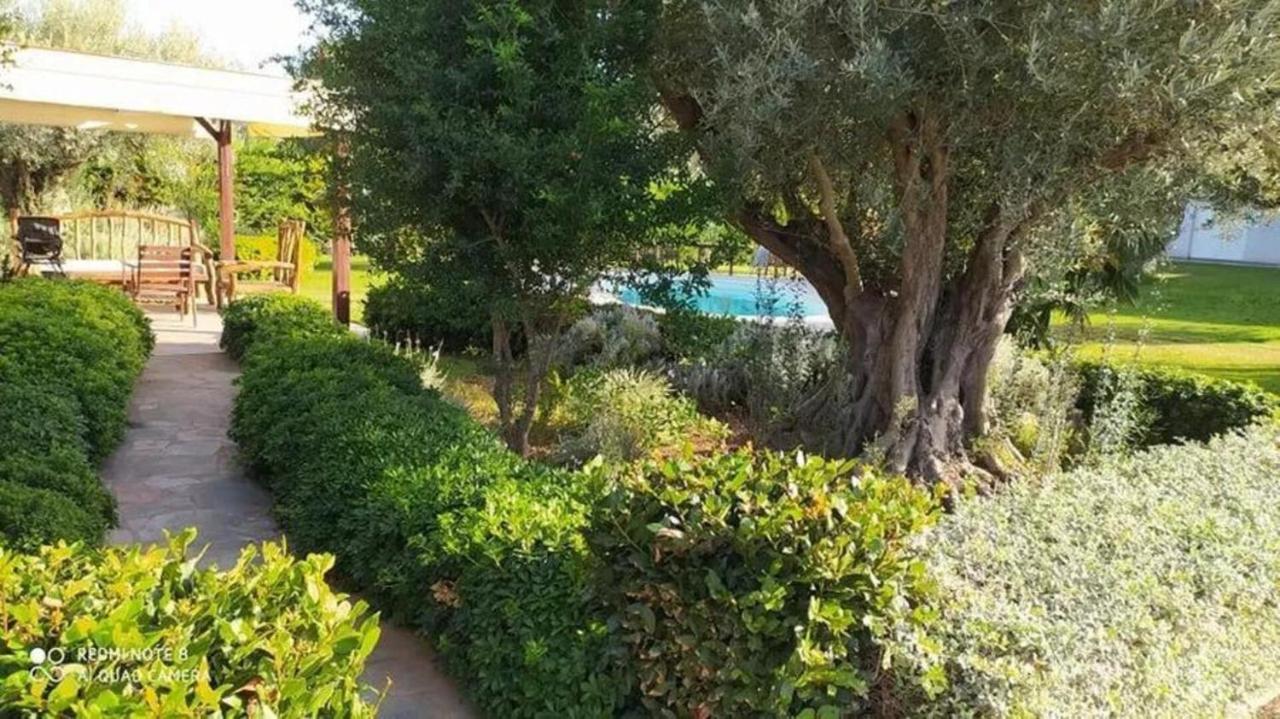 Luxurious 6 Bedroom Villa In A Great Location Chalkís Exterior foto